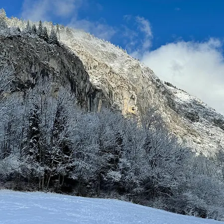 Cosy Proche Chatel Portes Du Soleil - Linge Inclus Apartment *